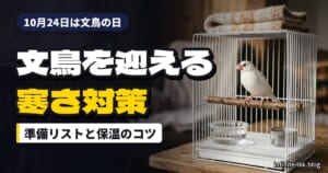 文鳥の日は10月24日｜ヒナを迎える前の準備と寒さ対策グッズ