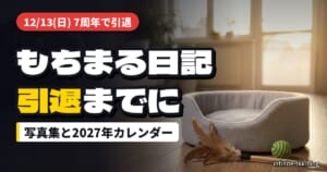 もちまる日記が12月13日で引退｜写真集と2027年カレンダーで手元に残す方法